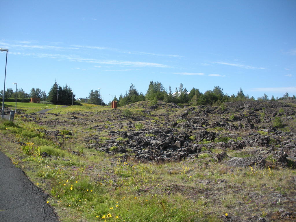 Lava Hostel Hafnarfjörður 객실 사진